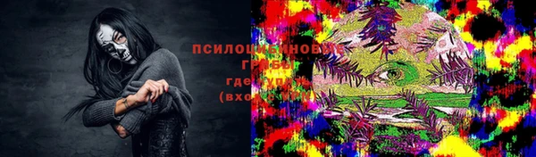 spice Алексеевка