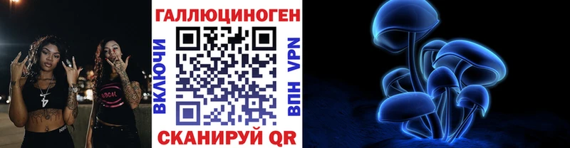 купить наркотики сайты  mega ССЫЛКА  Галлюциногенные грибы Psilocybe  Шадринск 