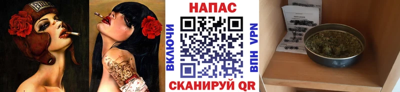 наркота  Шадринск  Бошки Шишки гибрид 